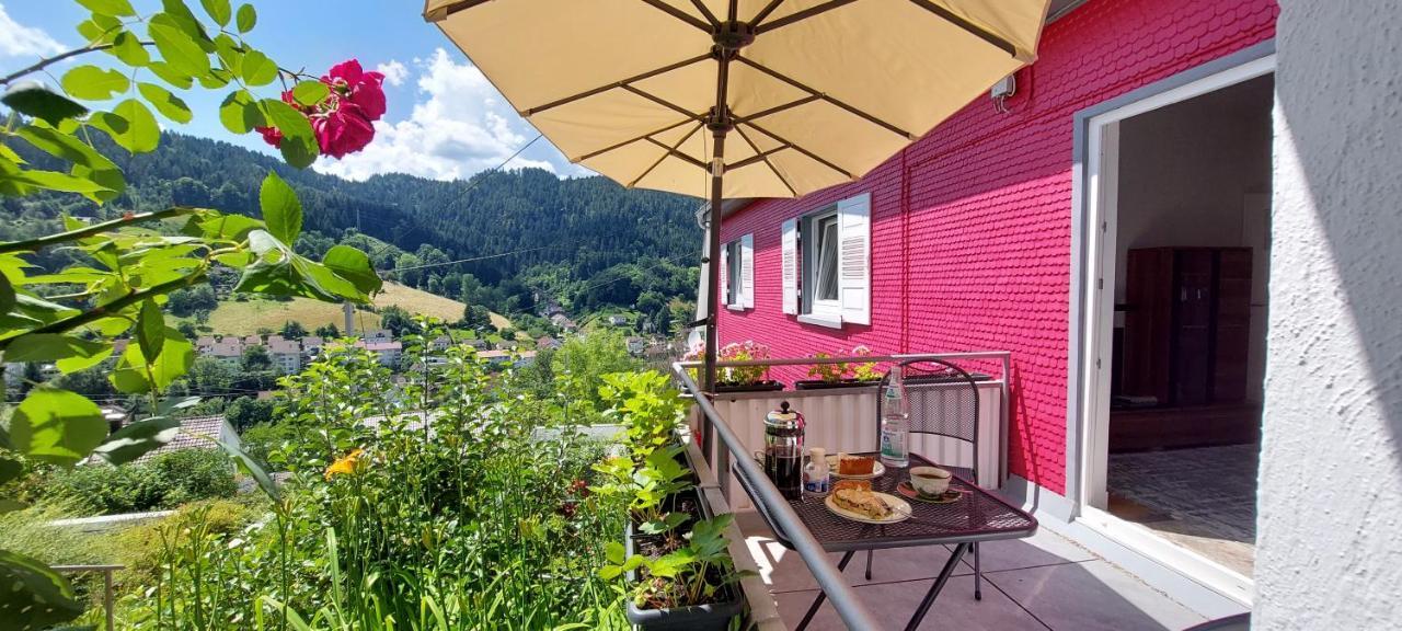 Talstadtblick Schramberg Exteriér fotografie