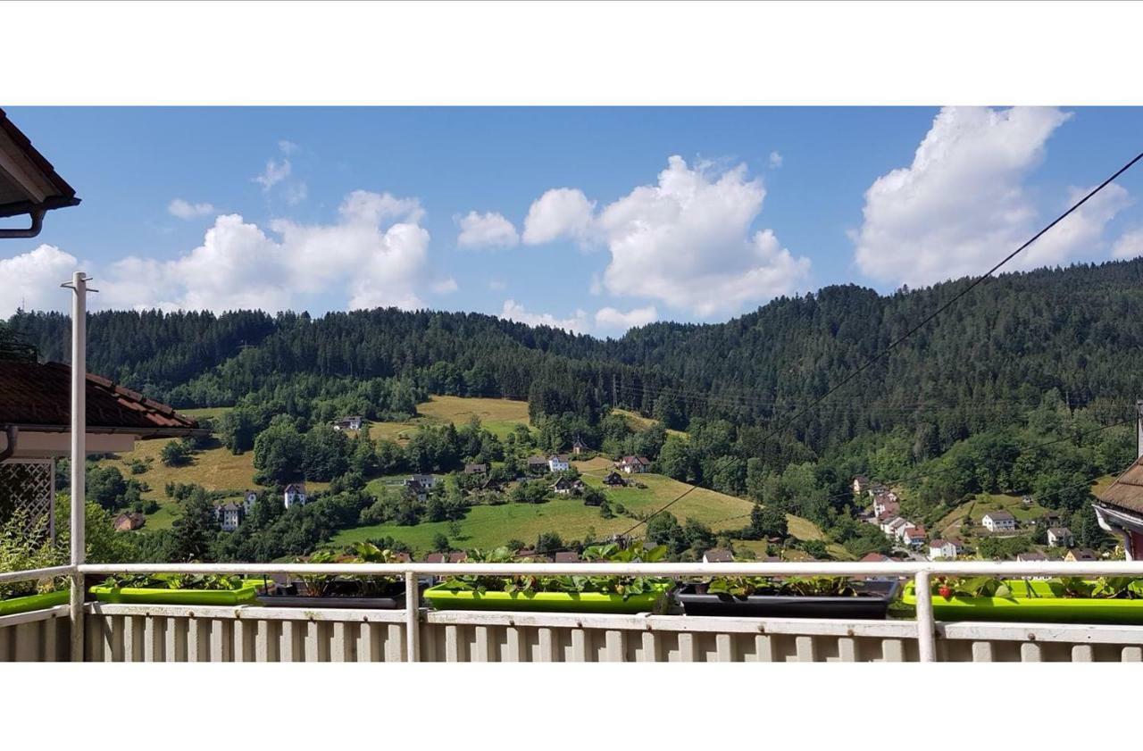 Talstadtblick Schramberg Exteriér fotografie