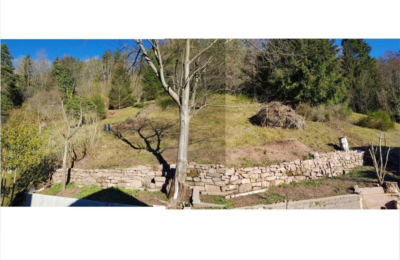 Talstadtblick Schramberg Exteriér fotografie